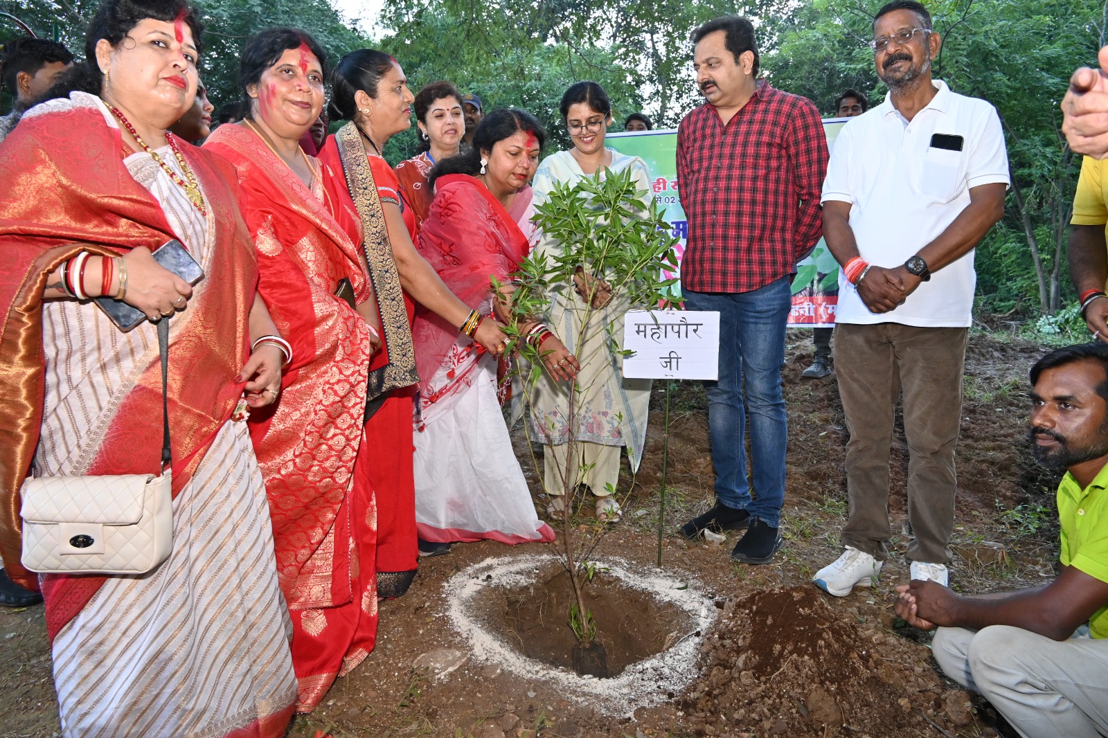 गैलरी छवि 5